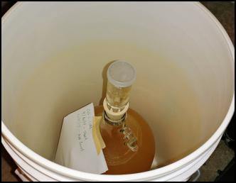Image ofHomebrewing